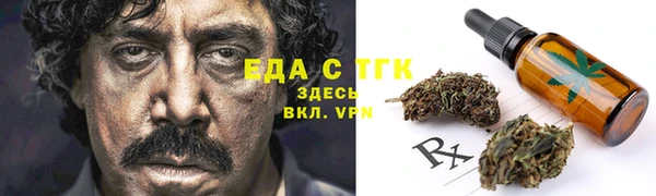 индика Балахна