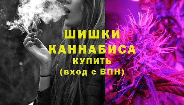 индика Балахна