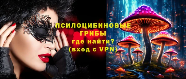индика Балахна