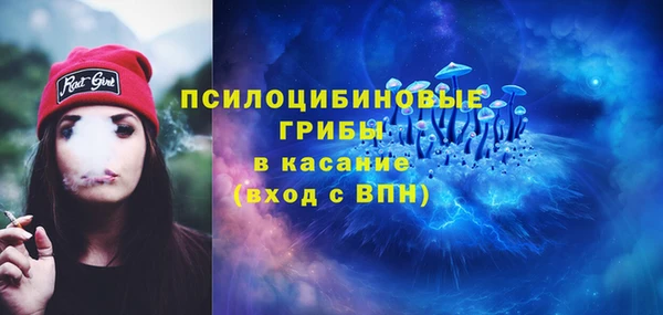 гашик Балабаново