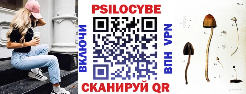 купить наркотики сайты  Губаха  Галлюциногенные грибы MAGIC MUSHROOMS 